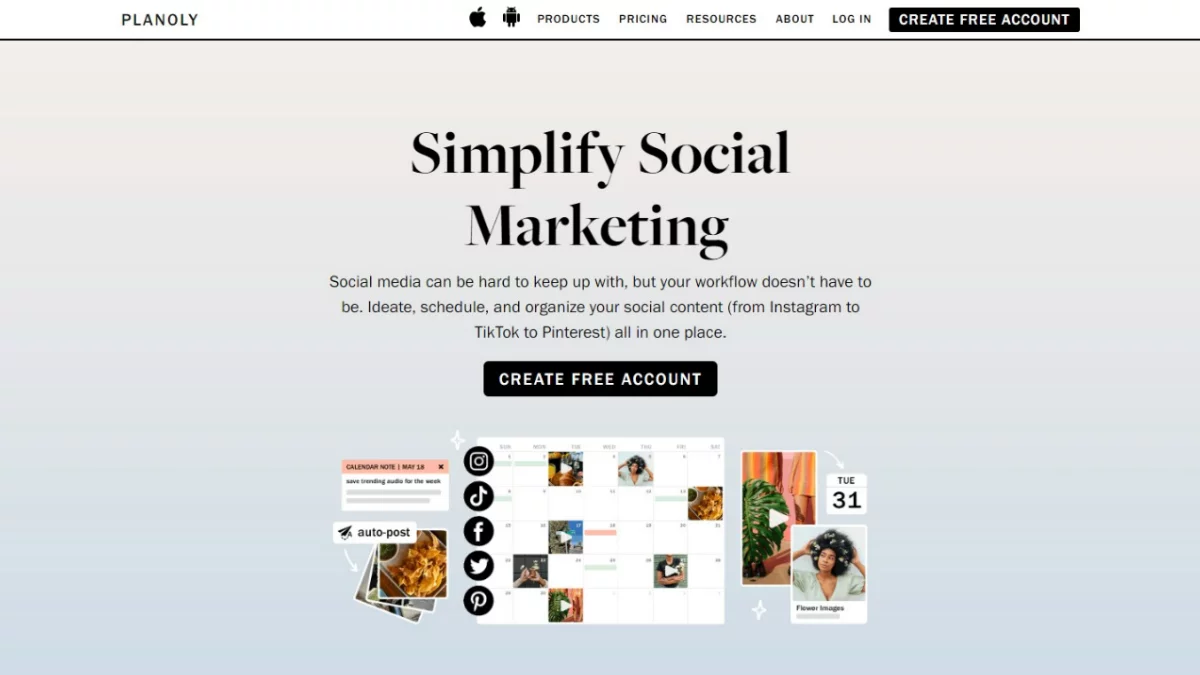 SocialReport alternatives- Planoly